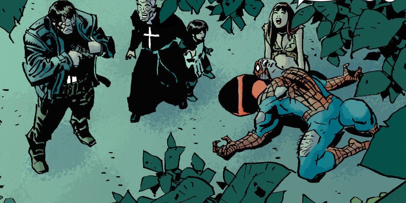 marvel-universe-vs-the-punisher-spiderman