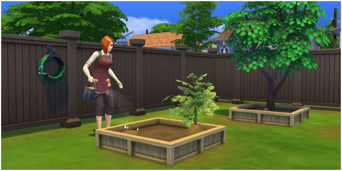 sims 2 no cd exe for mansion and garden stuff