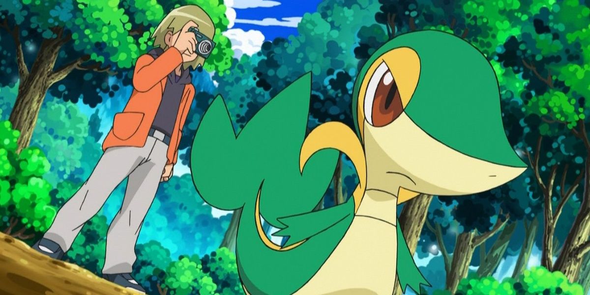 Trip and Snivy Pokemon Cropped