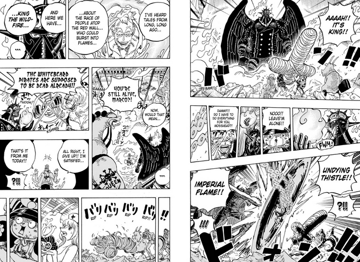 One Piece: Marco Reveals the Origin of King&#39;s Race | CBR