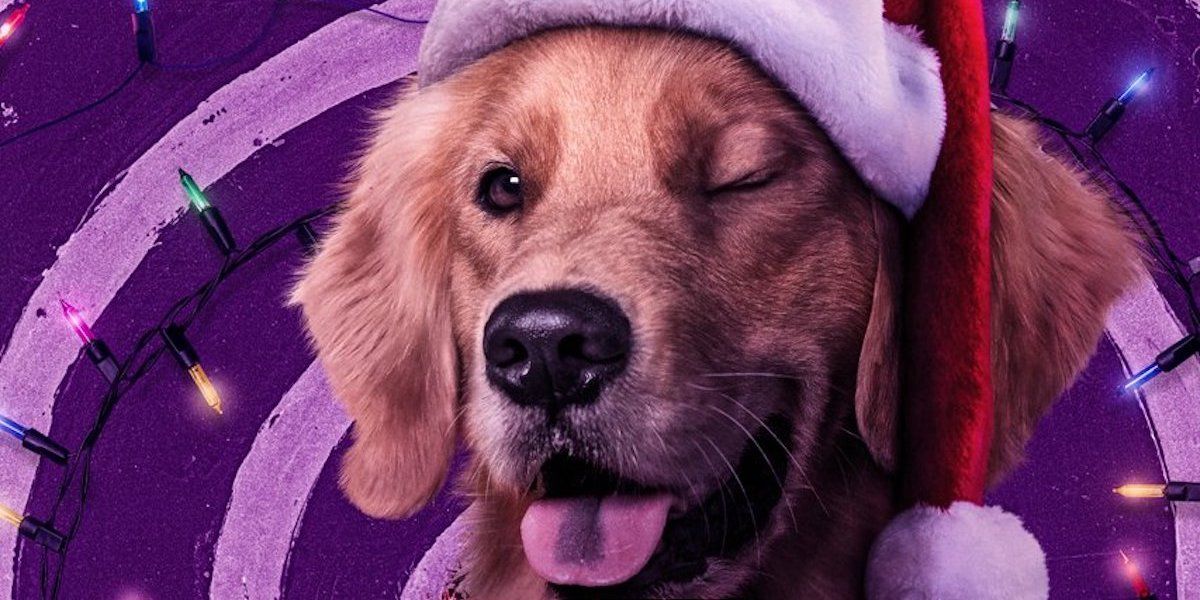 Hawkeye Director Explains How They Gave Lucky the Pizza Dog One Eye