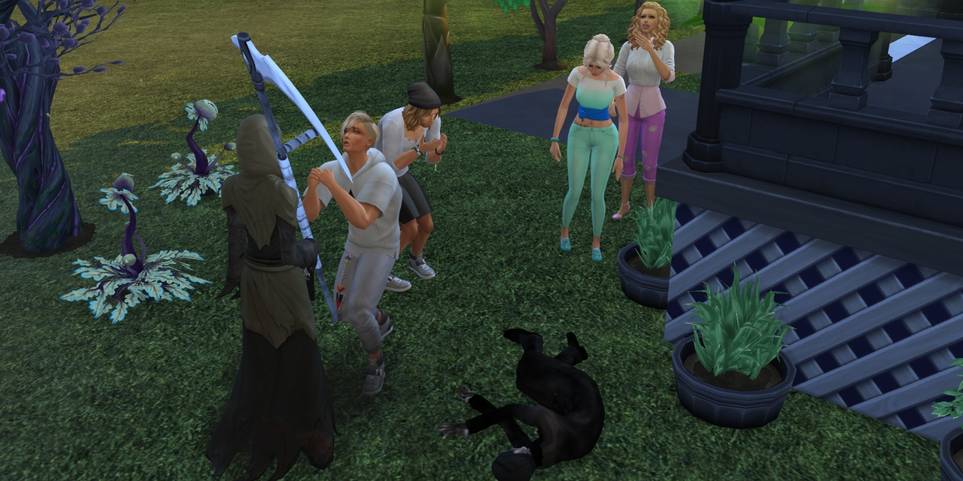Woohoo grim cheat sims 4 reaper The Sims