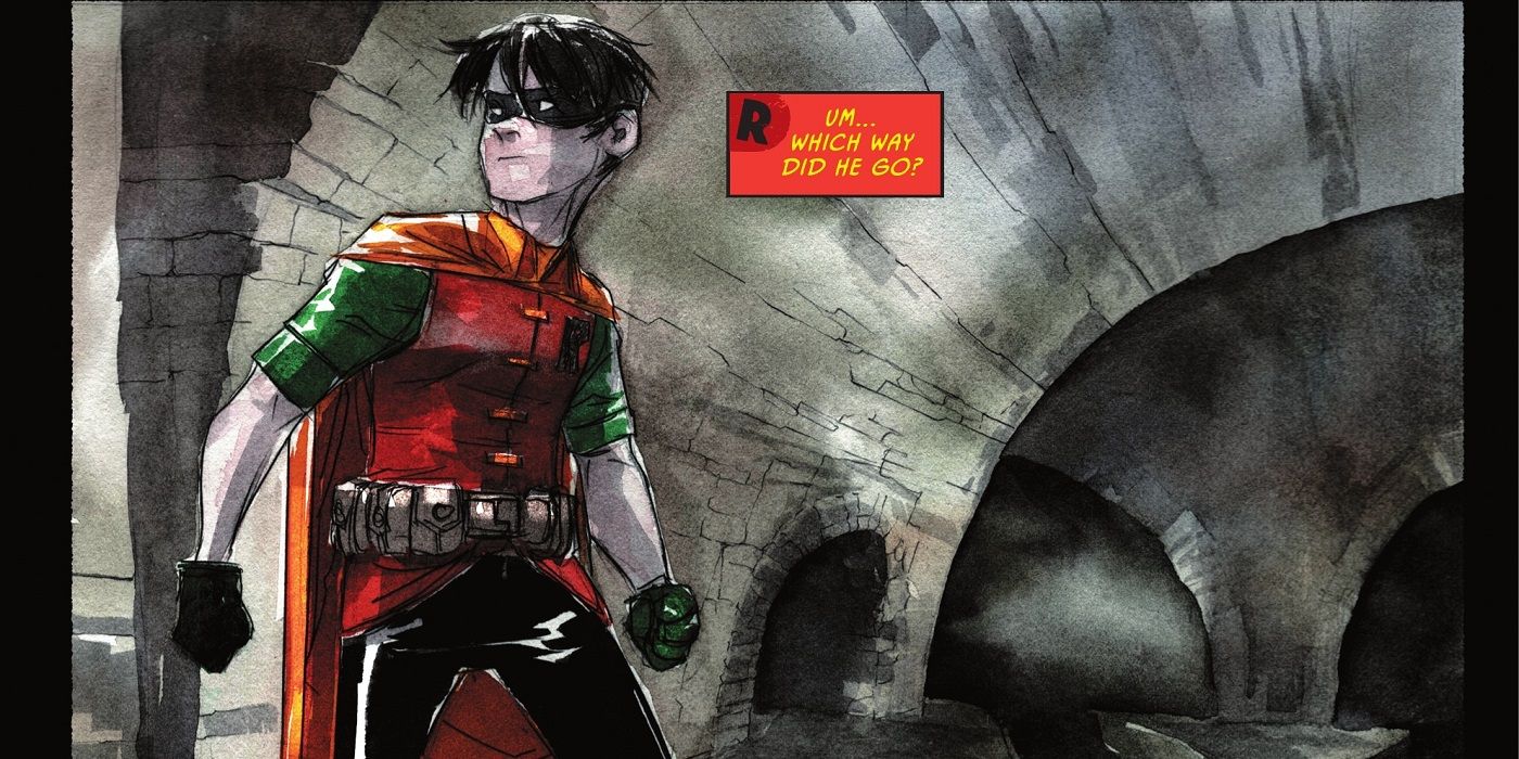 Both Dick And Bruce Made A Robin Costume